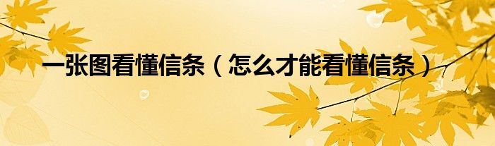 一張圖看懂信條（怎么才能看懂信條）