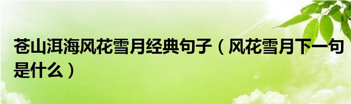 蒼山洱海風花雪月經(jīng)典句子（風花雪月下一句是什么）