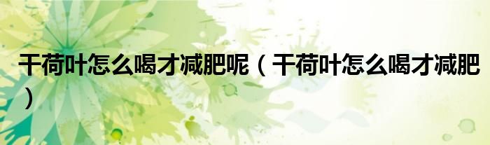 干荷葉怎么喝才減肥呢（干荷葉怎么喝才減肥）