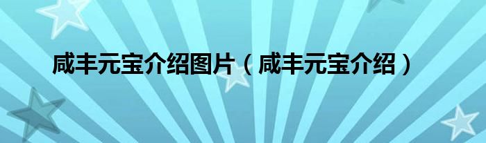咸豐元寶介紹圖片（咸豐元寶介紹）