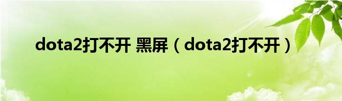 dota2打不開 黑屏（dota2打不開）