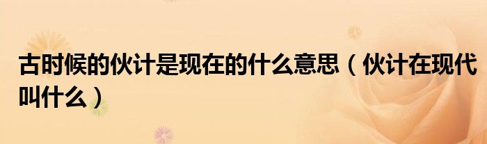 古時候的伙計是現(xiàn)在的什么意思（伙計在現(xiàn)代叫什么）
