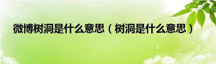 微博樹洞是什么意思（樹洞是什么意思）