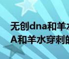 無創(chuàng)dna和羊水穿刺的區(qū)別和利弊（無創(chuàng)DNA和羊水穿刺的區(qū)別）
