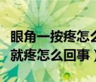 眼角一按疼怎么回事用什么眼藥水（眼角一按就疼怎么回事）