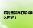 感冒流鼻涕打噴嚏吃什么藥好兒童（感冒流鼻涕打噴嚏吃什么藥好）