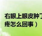 右眼上眼皮腫了還疼怎么回事（上眼皮腫了還疼怎么回事）
