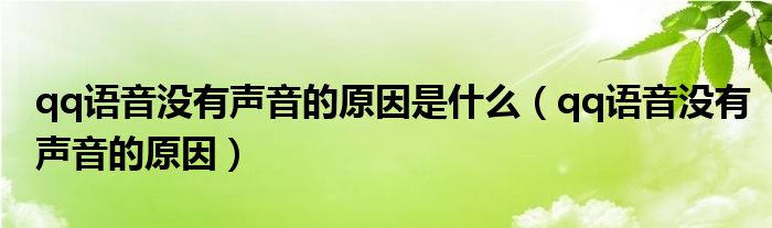 qq語音沒有聲音的原因是什么（qq語音沒有聲音的原因）