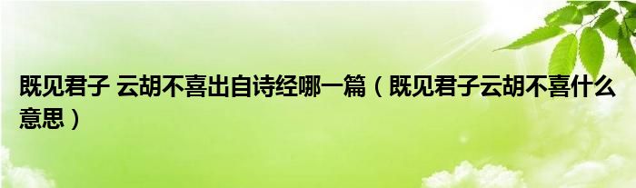 既見君子 云胡不喜出自詩經(jīng)哪一篇（既見君子云胡不喜什么意思）