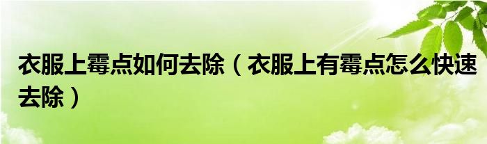 衣服上霉點(diǎn)如何去除（衣服上有霉點(diǎn)怎么快速去除）