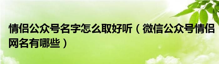 情侶公眾號名字怎么取好聽（微信公眾號情侶網(wǎng)名有哪些）