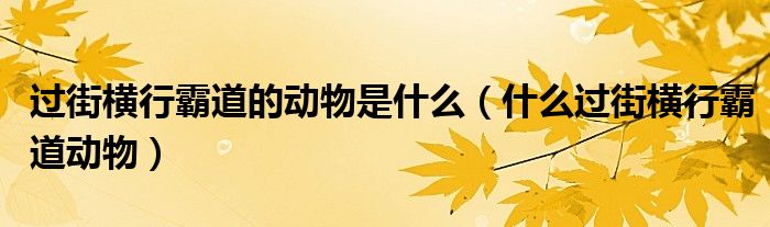 過街橫行霸道的動(dòng)物是什么（什么過街橫行霸道動(dòng)物）