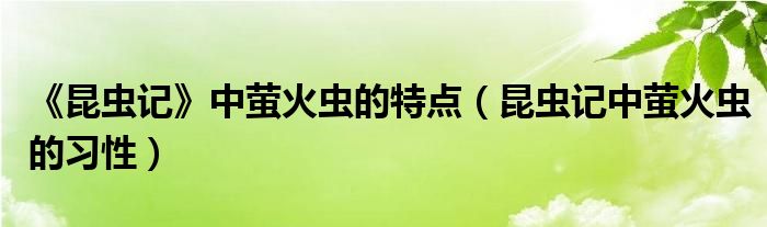 《昆蟲記》中螢火蟲的特點（昆蟲記中螢火蟲的習性）