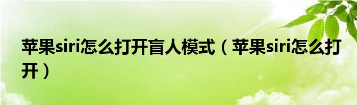 蘋(píng)果siri怎么打開(kāi)盲人模式（蘋(píng)果siri怎么打開(kāi)）