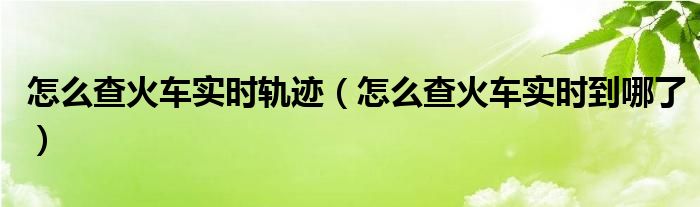 怎么查火車實時軌跡（怎么查火車實時到哪了）