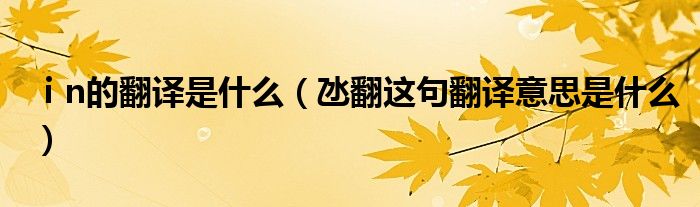 ⅰn的翻譯是什么（氹翻這句翻譯意思是什么）
