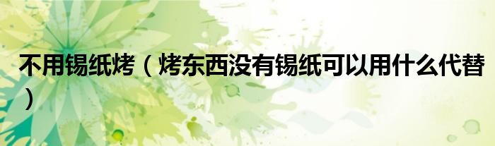 不用錫紙烤（烤東西沒(méi)有錫紙可以用什么代替）