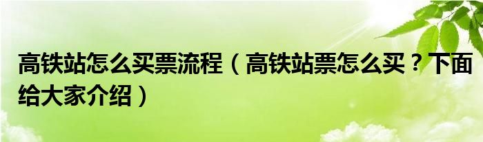 高鐵站怎么買票流程（高鐵站票怎么買？下面給大家介紹）