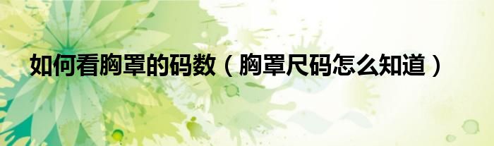 如何看胸罩的碼數(shù)（胸罩尺碼怎么知道）