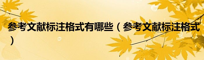 參考文獻(xiàn)標(biāo)注格式有哪些（參考文獻(xiàn)標(biāo)注格式）