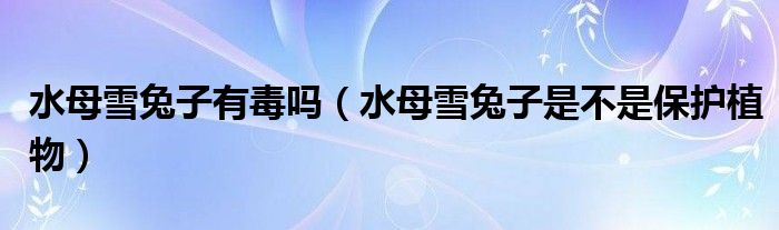 水母雪兔子有毒嗎（水母雪兔子是不是保護(hù)植物）