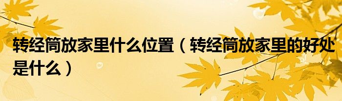 轉(zhuǎn)經(jīng)筒放家里什么位置（轉(zhuǎn)經(jīng)筒放家里的好處是什么）