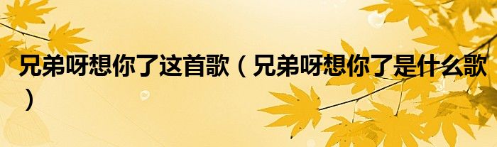 兄弟呀想你了這首歌（兄弟呀想你了是什么歌）