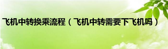 飛機中轉換乘流程（飛機中轉需要下飛機嗎）