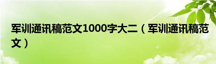 軍訓(xùn)通訊稿范文1000字大二（軍訓(xùn)通訊稿范文）