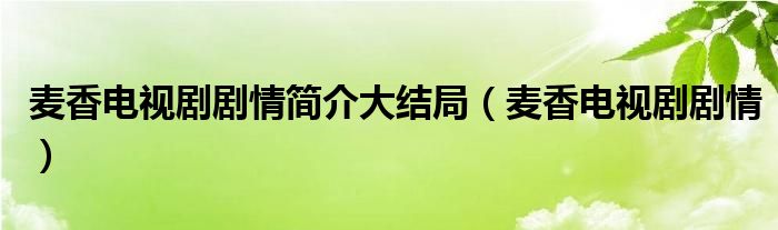 麥香電視劇劇情簡介大結局（麥香電視劇劇情）