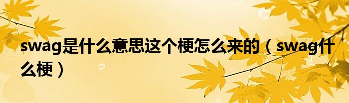 swag是什么意思這個梗怎么來的（swag什么梗）
