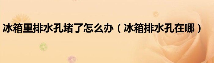 冰箱里排水孔堵了怎么辦（冰箱排水孔在哪）