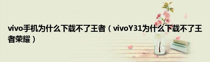 vivo手機為什么下載不了王者（vivoY31為什么下載不了王者榮耀）