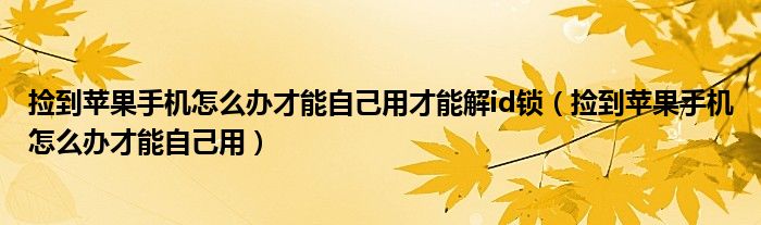 撿到蘋果手機(jī)怎么辦才能自己用才能解id鎖（撿到蘋果手機(jī)怎么辦才能自己用）
