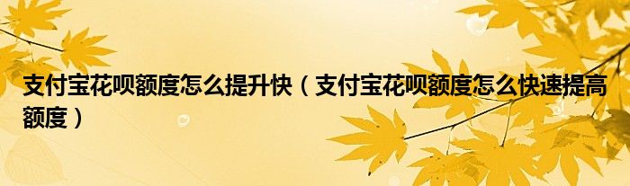 支付寶花唄額度怎么提升快（支付寶花唄額度怎么快速提高額度）
