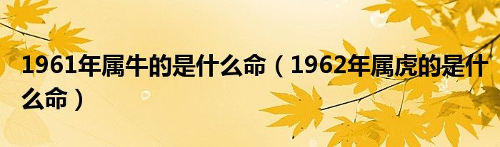 1961年屬牛的是什么命（1962年屬虎的是什么命）