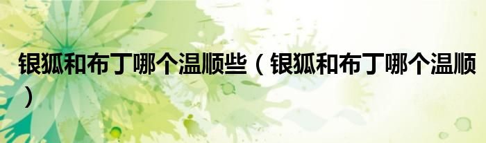 銀狐和布丁哪個溫順些（銀狐和布丁哪個溫順）