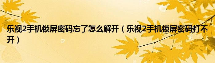 樂視2手機鎖屏密碼忘了怎么解開（樂視2手機鎖屏密碼打不開）