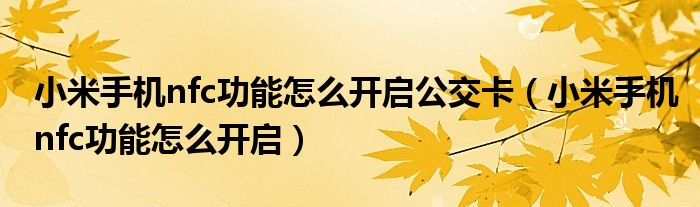 小米手機(jī)nfc功能怎么開啟公交卡（小米手機(jī)nfc功能怎么開啟）