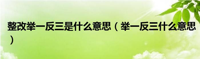 整改舉一反三是什么意思（舉一反三什么意思）