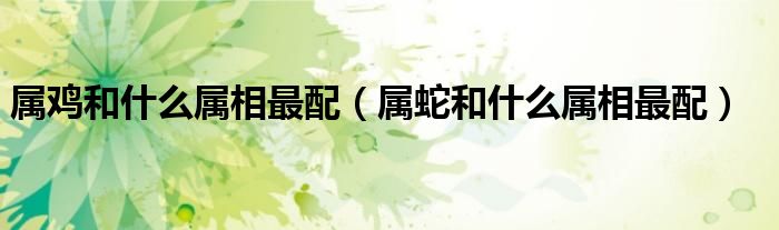 屬雞和什么屬相最配（屬蛇和什么屬相最配）