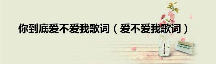 你到底愛不愛我歌詞（愛不愛我歌詞）
