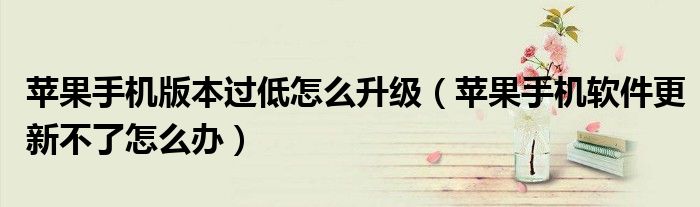 蘋果手機版本過低怎么升級（蘋果手機軟件更新不了怎么辦）
