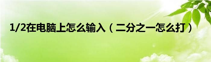 1/2在電腦上怎么輸入（二分之一怎么打）