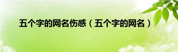 五個字的網(wǎng)名傷感（五個字的網(wǎng)名）