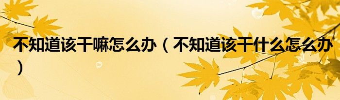 不知道該干嘛怎么辦（不知道該干什么怎么辦）