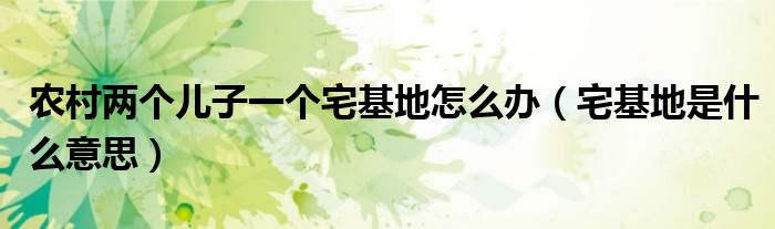 農(nóng)村兩個兒子一個宅基地怎么辦（宅基地是什么意思）