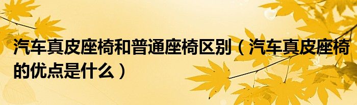 汽車真皮座椅和普通座椅區(qū)別（汽車真皮座椅的優(yōu)點(diǎn)是什么）