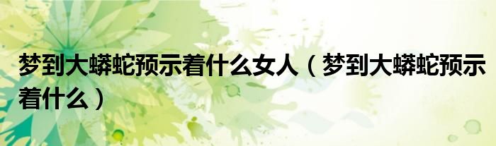 夢(mèng)到大蟒蛇預(yù)示著什么女人（夢(mèng)到大蟒蛇預(yù)示著什么）