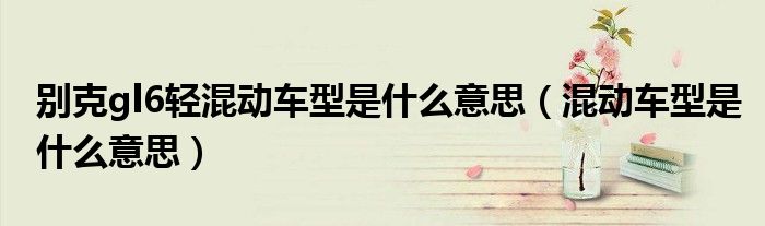 別克gl6輕混動車型是什么意思（混動車型是什么意思）